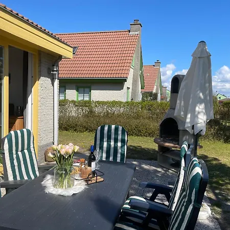 Albatros 289 * Julianadorp